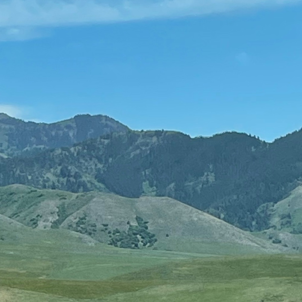 Meet your Posher, Eva